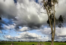 鲸鱼体育:尤文0 - 3惨败后,安布罗西尼评莫塔:留不留任.