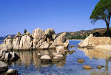 仁川冠军赛!日本男单2连败,国乒1胜1负,陈幸同、早田希娜皆3-1.